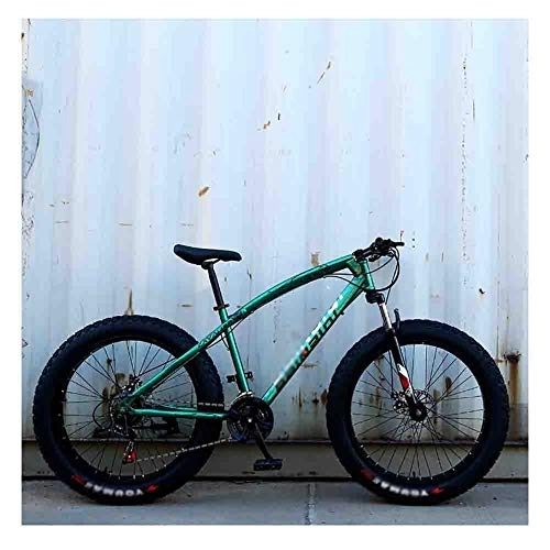 Fat Tyre Mountain Bike : GAOTTINGSD Adult Mountain Bike Bicycle Mountain Bike MTB Adult Beach Snowmobile Bicycles For Men And Women 24IN Wheels Adjustable Speed Double Disc Brake (Color : Green, Size : 7 speed)