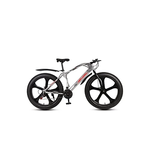 Fat Tyre Mountain Bike : LIANAIzxc Bikes 26 Inch Fat Tire Beach Snowmobile Adult Mountain Bike Road Bicycle Men Women Ride 27Speed Variable Speed Sports Cycling (Color : Silver, Size : 21 Speed_26 INCH (160-185CM))