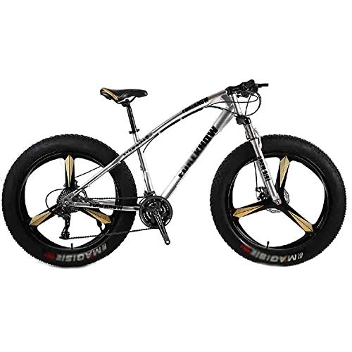 Fat Tyre Mountain Bike : LILIS Mountain Bike Folding Bike Bicycle MTB Adult Beach Bike Snowmobile Bicycles Mountain Bikes For Men And Women 26IN Wheels Adjustable Speed Double Disc Brake (Color : Gray, Size : 24 speed)