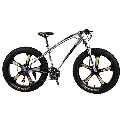 Fat Tyre Mountain Bike : LILIS Mountain Bike Folding Bike Bicycle MTB Adult Big Tire Beach Snowmobile Bicycles Mountain Bike For Men And Women 26IN Wheels Adjustable Speed Double Disc Brake (Color : Gray, Size : 7 speed)
