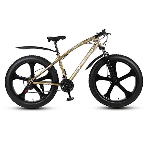 Fat Tyre Mountain Bike : LILIS Mountain Bike Folding Bike Bicycle MTB Adult Mountain Bikes Beach Bike Snowmobile Bicycles Big Tire For Men And Women 26IN Wheels Double Disc Brake (Color : Gold, Size : 21 speed)