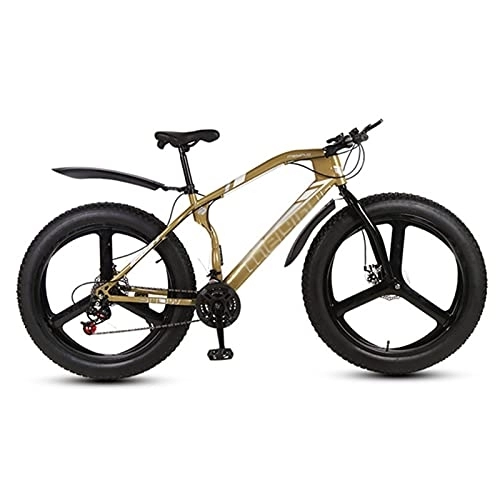 Fat Tyre Mountain Bike : LiRuiPengBJ Children's bicycle Mountain Bike for Men and Women, 21 Speed MTB Bicycle Dual-Disc Brake Fenders Urban Commuter City Bicycle (Color : Style4, Size : 26inch21 speed)