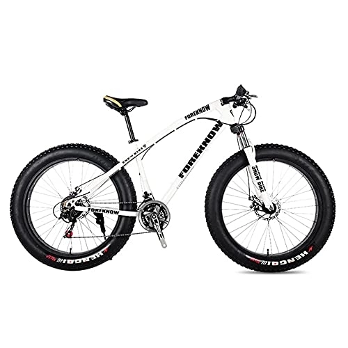 Fat Tyre Mountain Bike : Mountain Bike, Road Bike, Adult 24 Inch 21 / 24 / 27 Speed Men's Women's Oil Spring Fork Front Fork Blue-20 21 Speeds (White 24 21 Speeds)