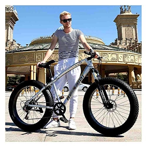 Fat Tyre Mountain Bike : Road Bikes Bicycle Mountain Bike MTB Adult Beach Snowmobile Bicycles For Men And Women 24IN Wheels Adjustable Speed Double Disc Brake Off-road Bike (Color : Gray, Size : 24 speed)