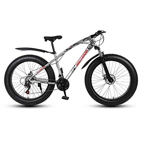 Fat Tyre Mountain Bike : Road Bikes Bicycle MTB Adult Beach Bike Snowmobile Bicycles Mountain Bikes For Men And Women 26IN Wheels Double Disc Brake Off-road Bike (Color : Gray, Size : 21 speed)