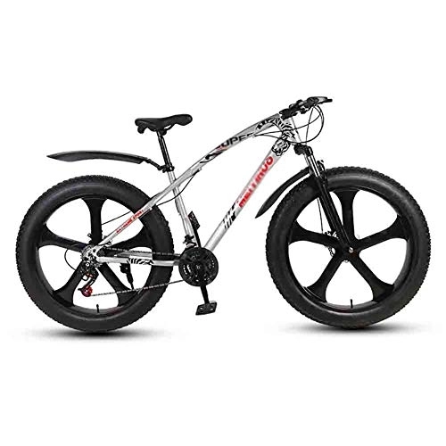 Fat Tyre Mountain Bike : Road Bikes Bicycle MTB Adult Mountain Bikes Beach Bike Snowmobile Bicycles Big Tire For Men And Women 26IN Wheels Double Disc Brake Off-road Bike (Color : Gray, Size : 27 speed)