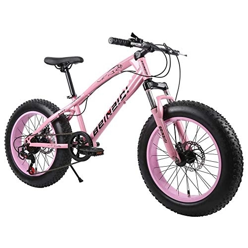 Fat Tyre Mountain Bike : TRGCJGH Mountain Bike, Fat Bicycles - 26 Inch, Dual Disc Brakes, Wide Tires, Adjustable Seats, C-24Speed