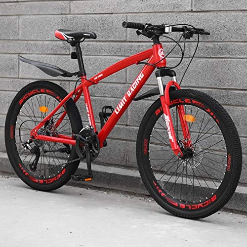 Mountain Bike : DFSSD Adult Mountain Bike, Outdoors Sport Hardtail Mountain Bikes Road Bikes, Double Disc Brake Country Gearshift Bicycle, Red 21 speed, 24 inches