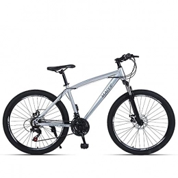 T-NJGZother Mountain Bike Adult Bicycle Mountain Bike, 26-Inch Disc Brake, Shock Absorbing Speed Mountain Bike, Adult Bicycle Student Bike-Silver Spoke Wheel_24-Inch 21 Speed，Front Mounted Bicycle Seats