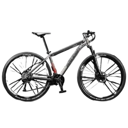 LUGMO Vélo de montagnes LUGMO zxc Vélo 29 pouces amortisseur de chocs VTT en alliage d'aluminium vélo femelle et mâle 33 vitesses variables (Couleur : gris, taille : 29 pouces 33 vitesses)