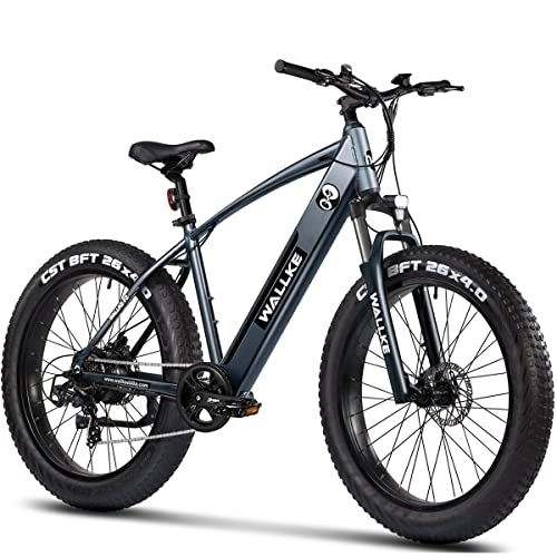 Mountain bike elettriches : W Wallke F2 Bici Elettrica Fat 26'', Batteria 48V 10, 4Ah con Motore Bafang, Cambio Shimano a 7 Velocità, MTB Elettrica per Adulti Unisex, Griogia