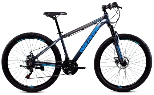 Mountain Bike : Bicystar WOLFKING MTB 27.5" Grigio / Azzurro, Mountain Bike Unisex Adulto