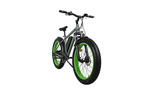 Electric Mountain Bike : Ecitybike.Com Electric Fat Tire Mountain Bike,
