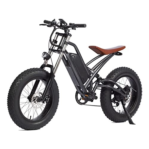 Electric Mountain Bike : FMOPQ Electric Bike750W Motor 48V Lithium Battery 20 Inch Fat Tire Electric Assisted Bicycle Double Shock Beach Snow Electric Bicycle (Color : Black)
