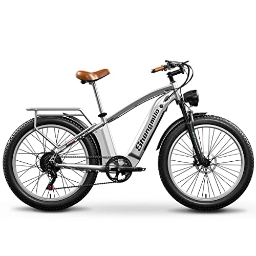 Electric Mountain Bike : VLFINA Pedal Assist Electric bicycle 26 inch Fat Tire，Double shock absorption Electric mountain bike，48V15Ah Removable battery for adult Vintage ebike (MX-04)