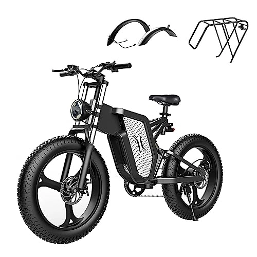 Electric Mountain Bike : X20 Electric Bicycle, 250W Motor, 20" x 4.0 Fat Tire Electric Bike for Adults, 48V 33AH Removable Battery, 25KM / H, Snow Beach Mountain E-Bike with Dual Hydraulic Shock Absorber & Pedal Assist
