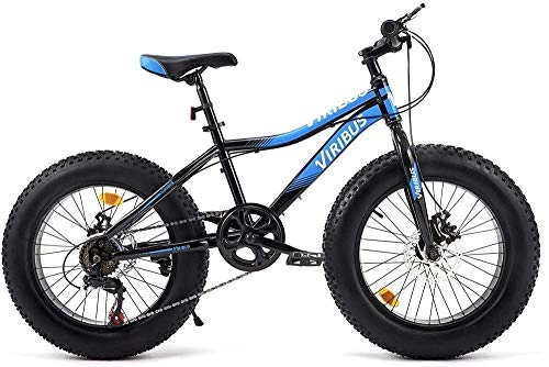 Fat Tyre Mountain Bike : 20 26 Inch 7 Speed Bicycle Mountain Bike, Fat Tires Steel or Aluminum Frame Dual Disc Brakes Adjustable Seat for Dirt Sand Snow Bike-Blue_20