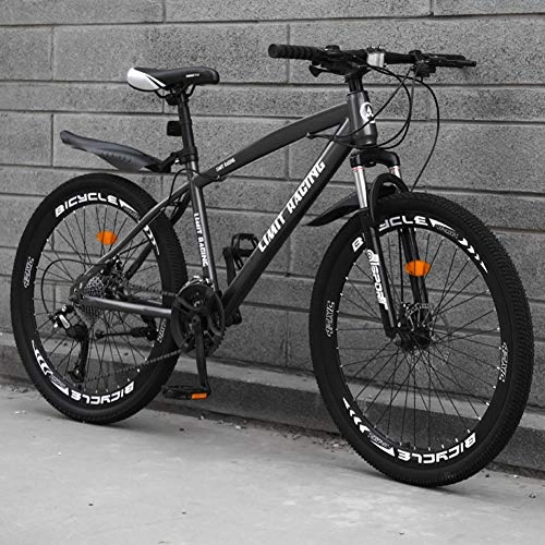 Mountain Bike : DFSSD Adult Mountain Bike, Outdoors Sport Hardtail Mountain Bikes Road Bikes, Double Disc Brake Country Gearshift Bicycle, Gray 24 speed, 26 inches