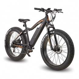 LIU Mountain bike elettriches Mountain Bike elettrica da 26 Pollici con Pneumatici Grassi con Motore da 500 W, Batteria Rimovibile da 48 V, 7 Marce, Display LCD a 5 velocità, Bici elettrica da 20 mph per Adulti