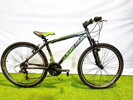REGINA Bici Bicicletta MTB 26 Spark 21V Cambio REVOSHIFT Nero-Verde