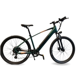 Generic Electric Mountain Bike Yoikoto Andes Electric Bike 17" inch  (Green)
