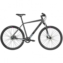 Bergamont Mountainbike Bergamont Helix N8 Cross Trekking Fahrrad grau / schwarz 2019: Gre: 60cm (186-201cm)