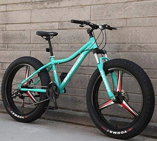 Fat Tyre Mountain Bike : Biciclette 26inch Fat Tire Montagna, doppio telaio ammortizzato e sospensioni forcella All Terrain Abbigliamento da montagna bici adulta, (Color : Green 3)