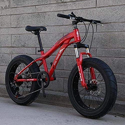 Fat Tyre Mountain Bike : CSS Bicicletta Fat Tire, Mountain Bike per adulti e adolescenti con freni a disco e forcella ammortizzata, telaio in acciaio ad alto tenore di carbonio 5-25, 20 pollici 27 velocità