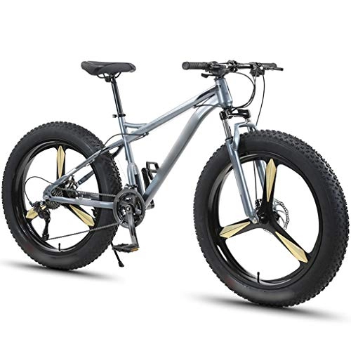 Fat Tyre Mountain Bike : DXIUMZHP Hardtail Motoslitte, ATV, Mountain Bike, 4.0 Pneumatici Super Larghi Bicicletta, Veicolo Fuoristrada Unisex A velocità Variabile, 7 / 21 / 24 / 27 / 30 velocità (Color : Gray, Size : 30-Speed)