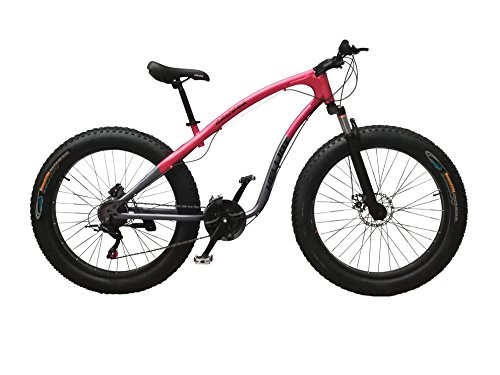 Fat Tyre Mountain Bike : Helliot Bikes Arizona, Fat Mountain Bike Unisex-Adult, Argento e Granato, M-L