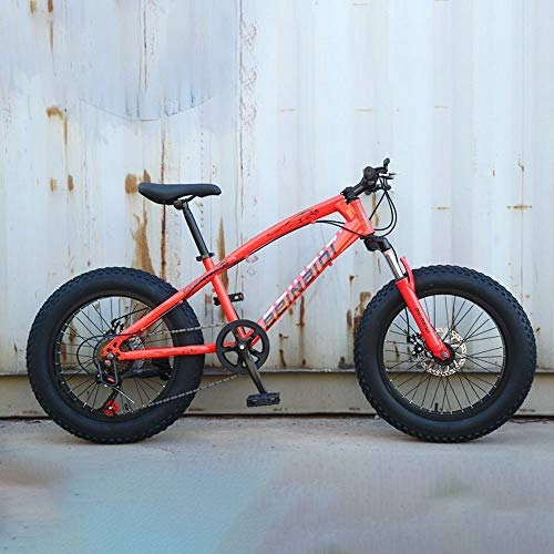 Fat Tyre Mountain Bike : JH Mountain Bike, 20 inch Beach Neve Bici, 4, 0 Pneumatico Ampliata, Shock Absorbing-Student Mountain Bike, D
