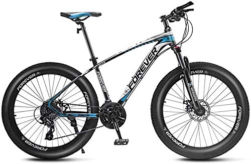 Fat Tyre Mountain Bike : LBYLYH 26-inch Mountain Bike, Freno A Fat Tire Mountain Bike Disco MTB Hardtail, velocità 24 / 27 / 30 / 33, B, 24X