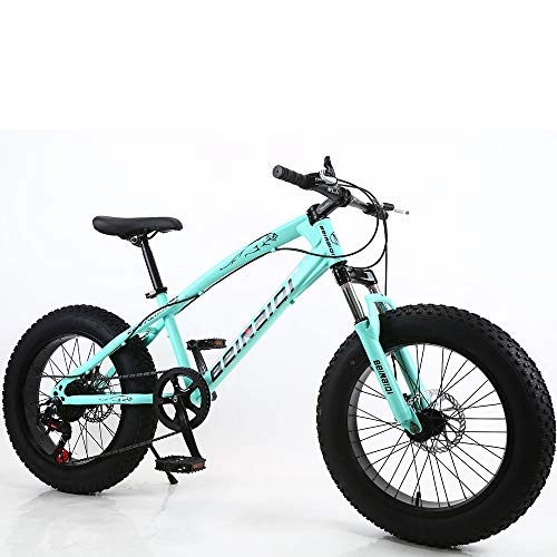 Fat Tyre Mountain Bike : Link Co Freni a Disco con Cambio da 20 Pollici Mountain Bike Beach Fat Tire Snow Bike, Blue