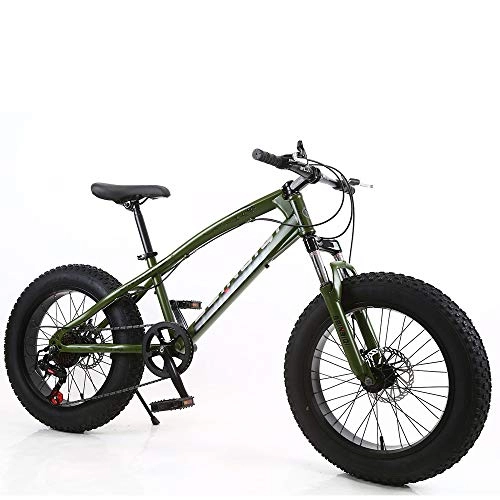 Fat Tyre Mountain Bike : Link Co Freni a Disco con Cambio da 20 Pollici Mountain Bike Beach Fat Tire Snow Bike, Bronze