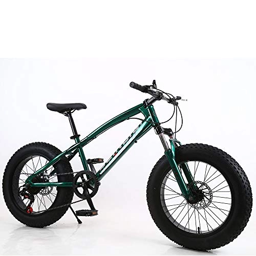 Fat Tyre Mountain Bike : Link Co Freni a Disco con Cambio da 20 Pollici Mountain Bike Beach Fat Tire Snow Bike, Green