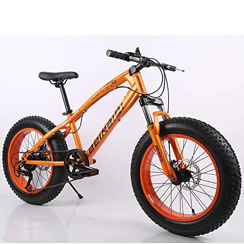 Fat Tyre Mountain Bike : Link Co Freni a Disco con Cambio da 20 Pollici Mountain Bike Beach Fat Tire Snow Bike, Orange