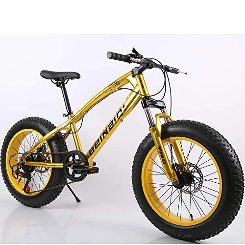 Fat Tyre Mountain Bike : Link Co Freni a Disco con Cambio da 20 Pollici Mountain Bike Beach Fat Tire Snow Bike, Yellow