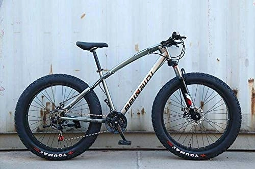 Fat Tyre Mountain Bike : N&I Bicycle Mountain Bike for Adults Hard-Tail Mountain Bicycle High Carbon Steel Frame Dual Disc Brake And Front Suspension Fork A 24 inch 27 Speed D 26 inch 24 Speed