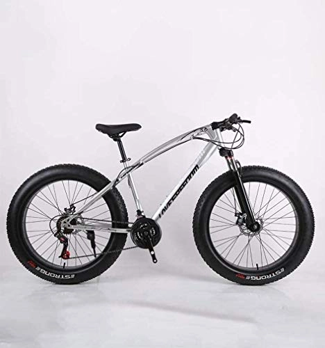 Fat Tyre Mountain Bike : QZ Fat Tire Adulti Mountain Bike, ad Alta Acciaio al Carbonio Telaio Cruiser Bikes, Spiaggia motoslitta Biciclette, Doppio Freno a Disco 26 Pollici Ruote (Color : Silver, Size : 7 Speed)