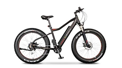 Mountain bike elettriches : Argento Bicicletta elettrica Elephant Ruote Fat, Unisex Adulto, Nero e Rosso, taglia unica