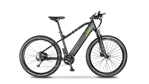 Mountain bike elettriches : Argento Bicicletta elettrica Performance Mountainbike, Unisex Adulto, Nero e Verde, taglia unica