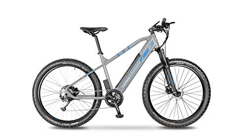 Mountain bike elettriches : Argento Performance+, Bicicletta elettrica Mountainbike Unisex Adulto, Blu, taglia unica