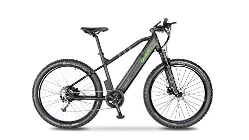 Mountain bike elettriches : Argento Performance+, Bicicletta elettrica Mountainbike Unisex Adulto, Verde, Taglia Unica