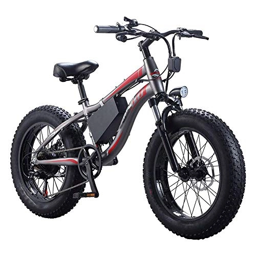Mountain bike elettriches : AYHa Bici elettrica da spiaggia per adulti, motore impermeabile a 7 velocità 250W da 20 pollici 4.0 Fat Tire Ebike Freni a doppio disco Batteria rimovibile per motoslitta