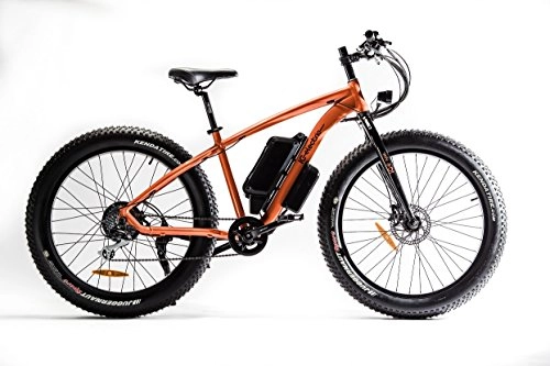 Mountain bike elettriches : IC Electric. XFAT Bicicletta elettrica Moutain Bike. arancione