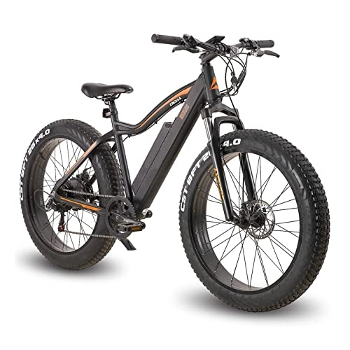 Mountain bike elettriches : Mountain Bike elettrica da 26 Pollici con Pneumatici Grassi con Motore da 500 W, Batteria Rimovibile da 48 V, 7 Marce, Display LCD a 5 velocità, Bici elettrica da 20 mph per Adulti