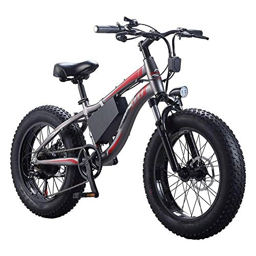 Mountain bike elettriches : Qinmo Adulti Beach Bici elettrica, 250W Impermeabile Motore 20 Pollici 4, 0 a Disco 7 Biciclette velocit Shifter Doppio Fat Tire Elettrico Freni motoslitta batterie di Ricambio