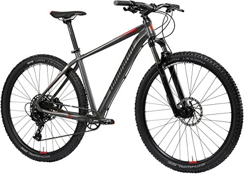 Mountain Bike : BICI 29 ALLOY MTB FRONT LOMBARDO IMPERIA 5.0 SRAM SX 12V ROCK JUDY GAMMA 2022 (48 CM, TITANIUM BLACK MATT)