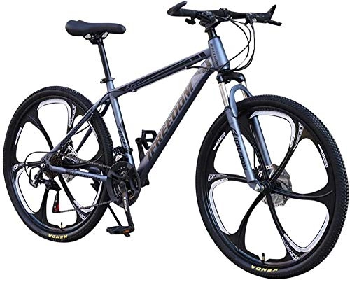 Mountain Bike : Bicicletta da montagna a velocità variabile, per adulti da 26 pollici, a 21 velocità, per uomo, abbandonato, colore: grigio