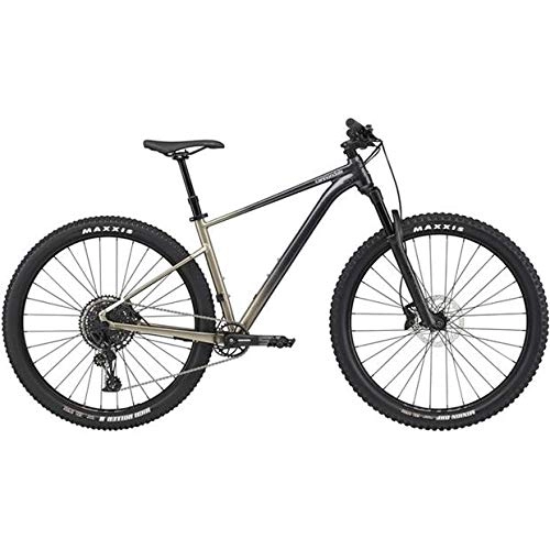 Mountain Bike : CANNONDALE Trail SL 1 2021 Meteor Gray